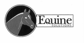 EQUINE SOLUTIONS logo
