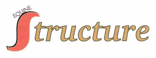 EQUINE STRUCTURE logo