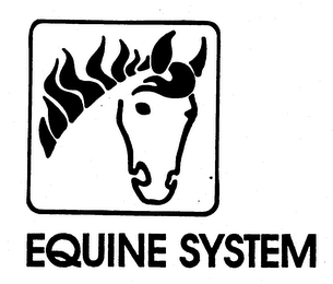 EQUINE SYSTEM