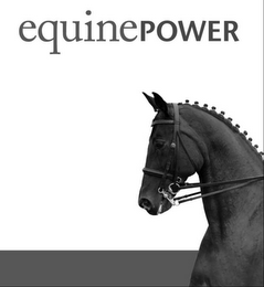 EQUINEPOWER logo