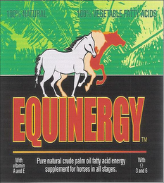 EQUINERGY PURE NATURAL CRUDE PALM OIL FATTY ACID ENERGY SUPPLEMENT FOR HORSES IN ALL STAGES. logo