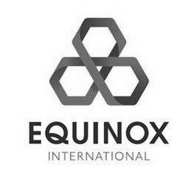 EQUINOX INTERNATIONAL logo
