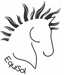 EQUISOL logo