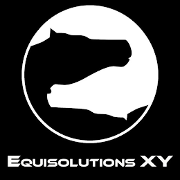 EQUISOLUTIONS XY logo