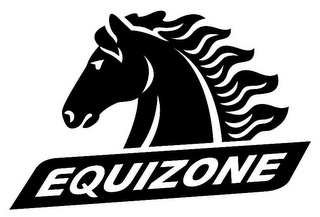 EQUIZONE logo