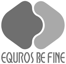 EQUROS BE FINE logo