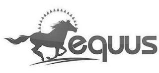 EQUUS logo