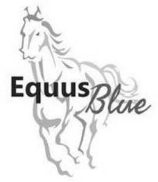 EQUUS BLUE logo