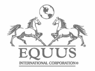 EQUUS INTERNATIONAL CORPORATION logo