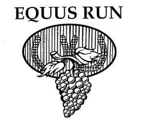 EQUUS RUN logo