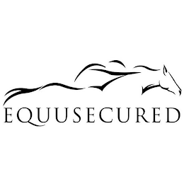 EQUUSECURED logo