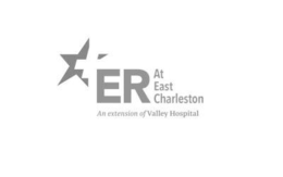 ER AT EAST CHARLESTON AN EXTENSION OF VALLEY HOSPITAL logo