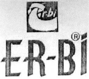 ER-BI logo