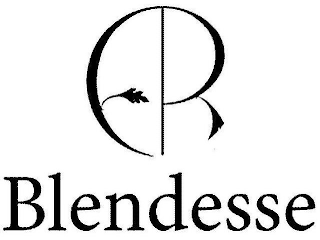 ER BLENDESSE logo