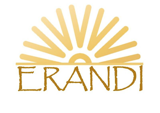 ERANDI logo