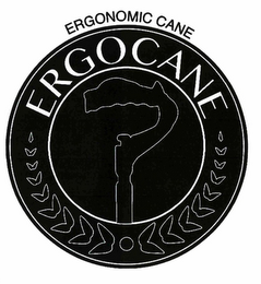 ERGONOMIC CANE ERGOCANE logo