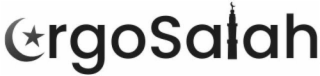 ERGOSALAH logo