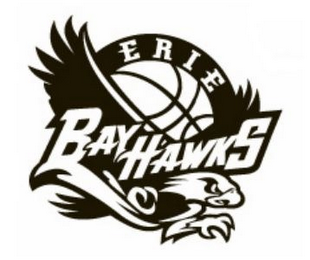 ERIE BAYHAWKS logo
