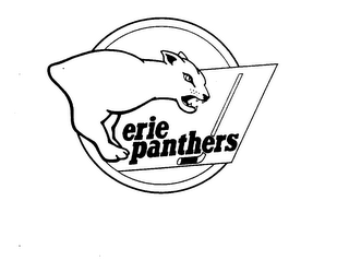 ERIE PANTHERS logo
