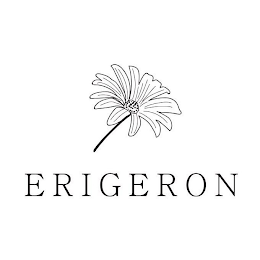 ERIGERON logo