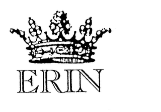 ERIN logo