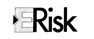 ERISK logo