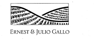 ERNEST & JULIO GALLO logo