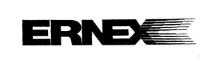 ERNEX logo