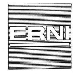 ERNI logo
