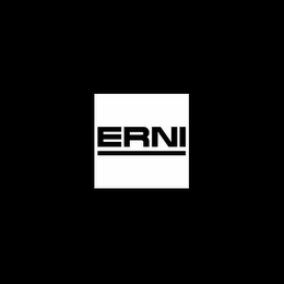 ERNI logo