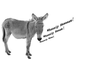 ERNIE WHSSSIP HAAW! WHSSSIP HAAAW! WHSSSIP HAAAAAW! logo
