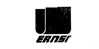 ERNST logo