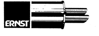ERNST logo