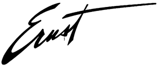 ERNST logo