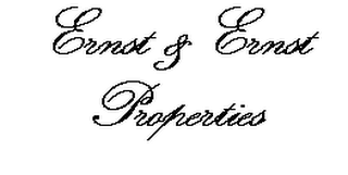 ERNST & ERNST PROPERTIES logo