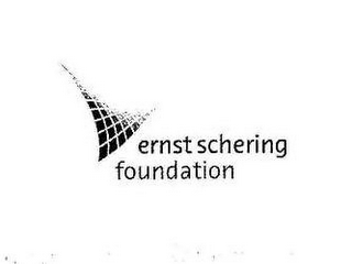 ERNST SCHERING FOUNDATION logo