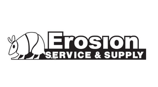 EROSION SERVICE & SUPPLY logo