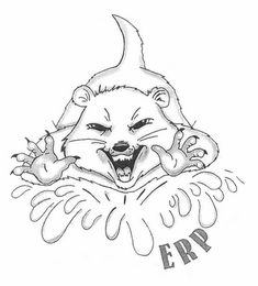 ERP logo