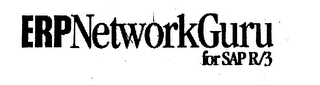 ERP NETWORKGURU FOR SAP R/3 logo
