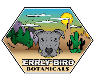ERRLY BIRD BOTANICALS logo