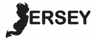 ERSEY logo