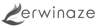 ERWINAZE logo