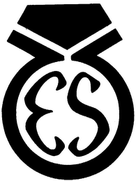 ES logo