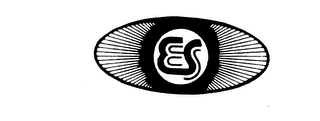 ES logo