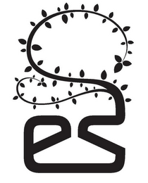 ES logo