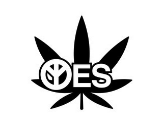 ES logo