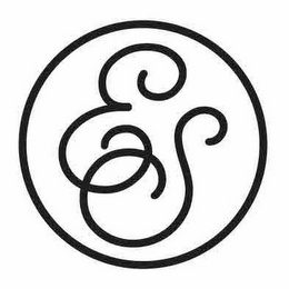 ES logo