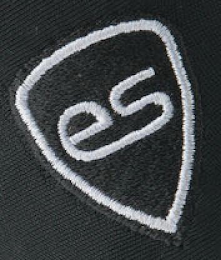 ES logo