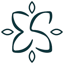 ES logo