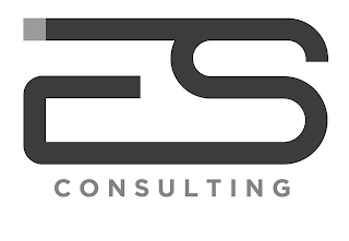 ES CONSULTING logo